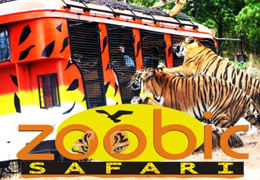 zoobic safari logo